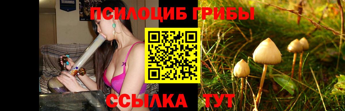 Ноябрьск  Псилоцибиновые грибы MAGIC MUSHROOMS  Вход с VPN  Псилоцибиновые грибы ЛСД 
