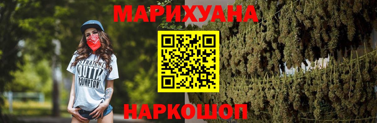 Канабис сатива Ноябрьск
